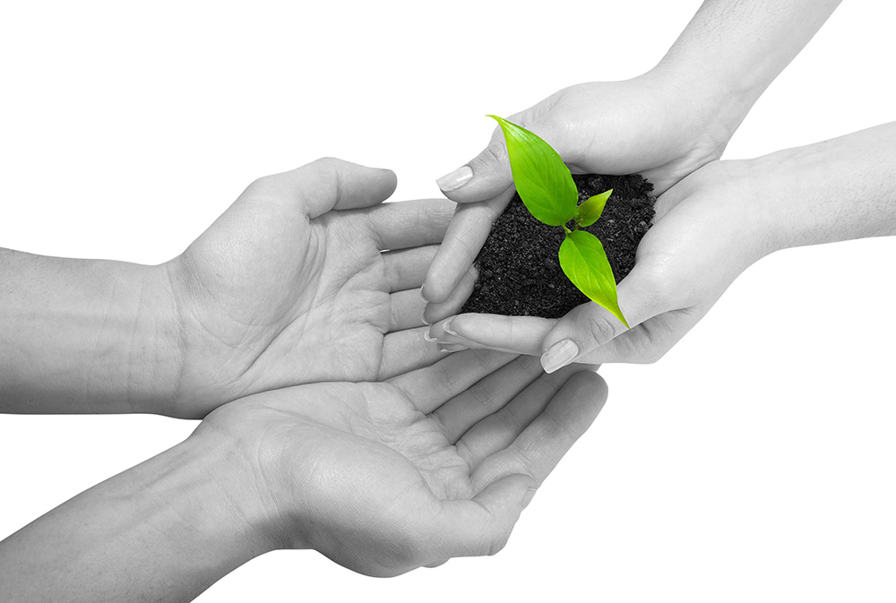 在线电话轰炸测试